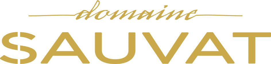 Salon Sauvat Vins