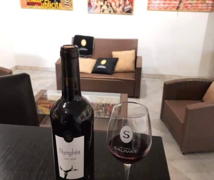 Dégustation des vins du domaine 🍷 – Image 3