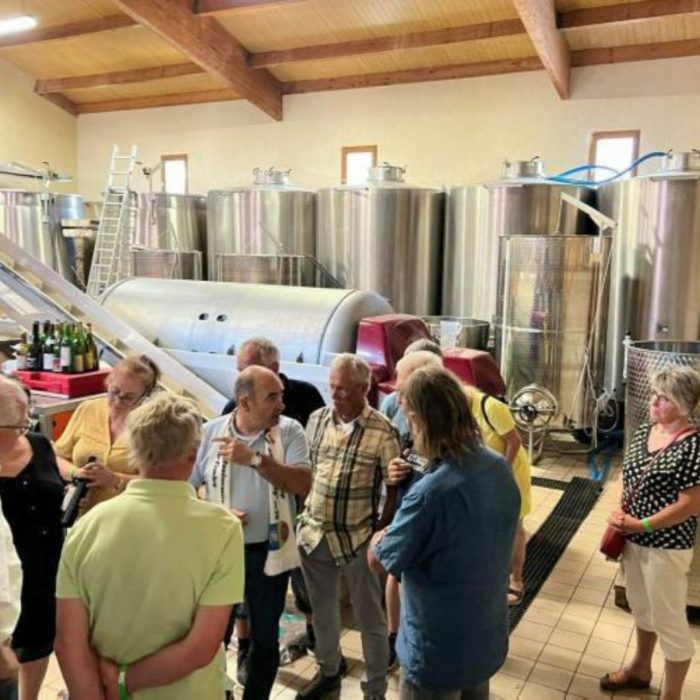 Visite de cave et dégustation – Image 3