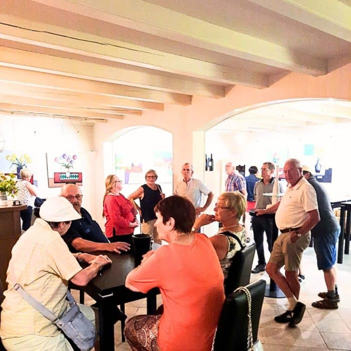 Exploration du Vignoble de Boudes : Visite Guidée et Dégustation