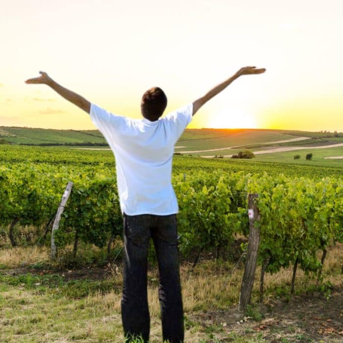 Sophrologie dans les Vignes avec dégustation