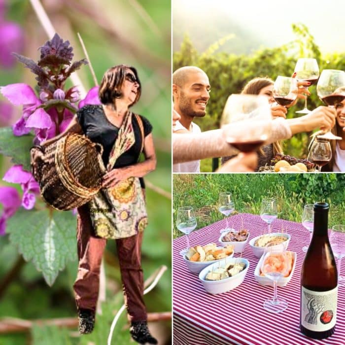 Balade botanique avec dégustation dans le vignoble de Boudes, samedi 17 Mai 2025