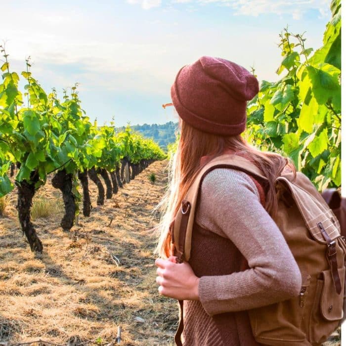 Oeno-Balade dans le vignoble de Boudes 🥾